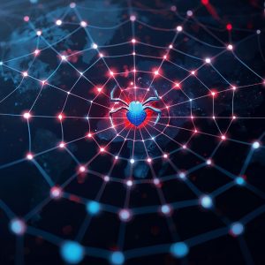 Spider Web VPN پرسرعت